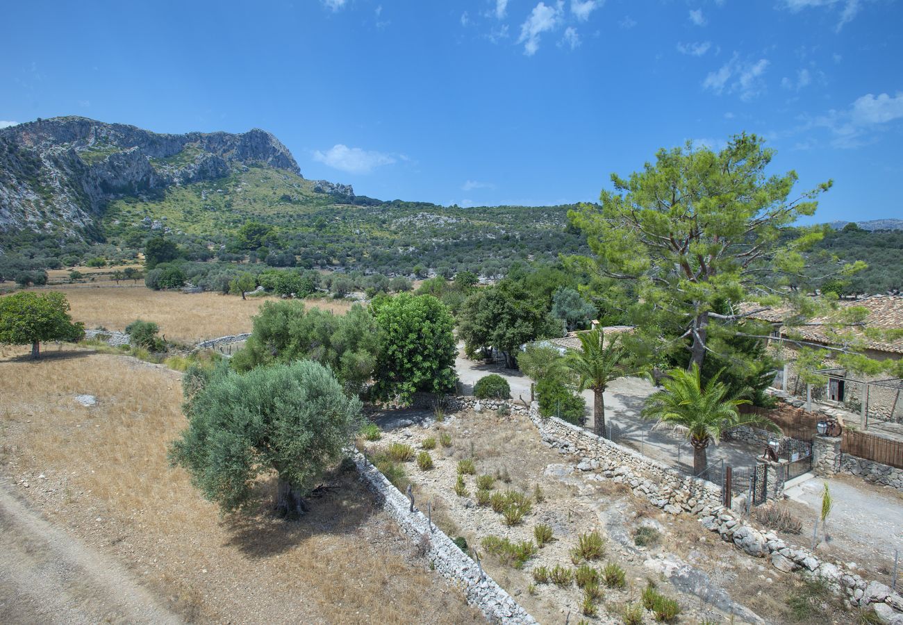 Villa in Pollensa - FINCA RAFALS - JUWEL INMITTEN DER NATUR