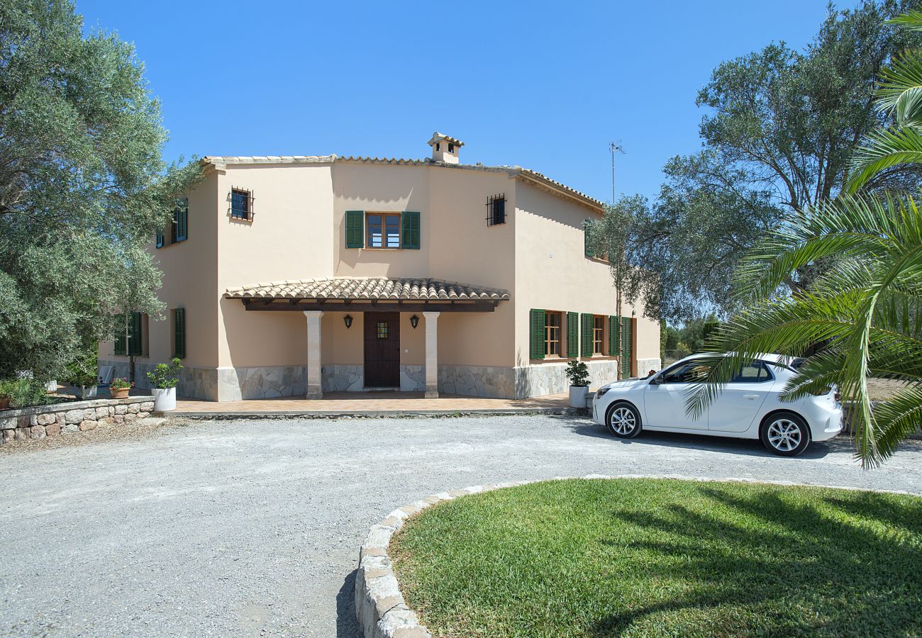 Villa in Pollensa - FINCA TIA - EXKLUSIVE URLAUB