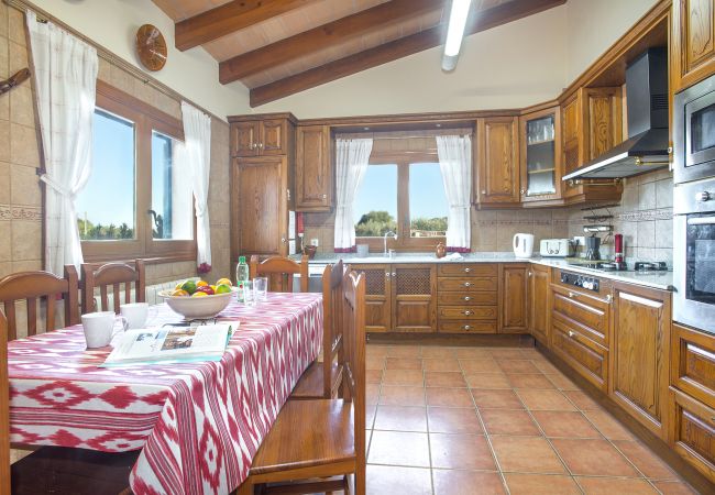 Villa in Pollensa - FINCA TROY - FAMILIE UND FREUNDE Villa in Pollensa - FINCA TROY - FAMILIE UND FREUNDE