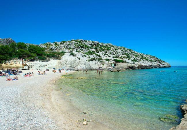 Villa in Pollensa - FINCA TROY - FAMILIE UND FREUNDE