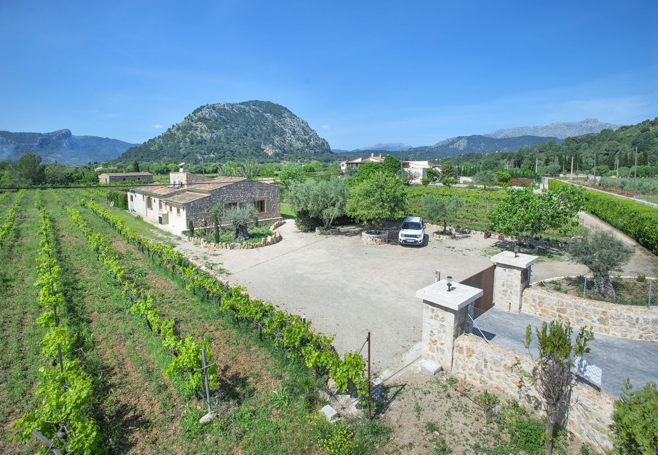 Villa in Pollensa - FINCA  DIVINA - LUXUS URLAUB