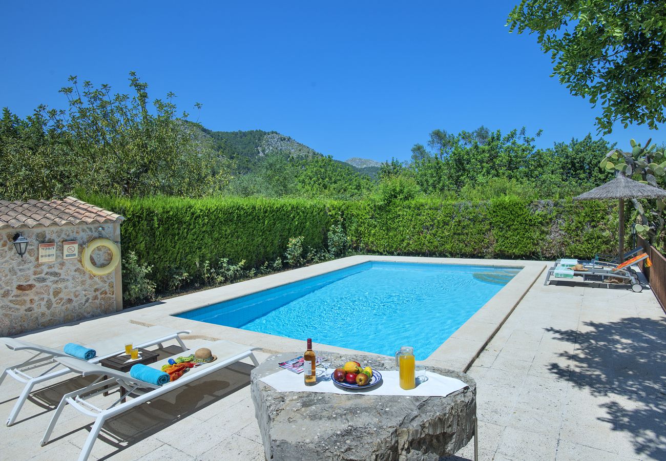 Villa in Pollensa - FINCA PAU - BERGBLICK UND NATUR