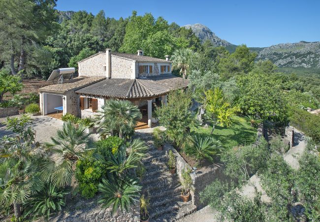 Villa in Pollensa - FINCA PICASA ALT - UMGEBEN VON NATUR Villa in Pollensa - FINCA PICASA ALT - UMGEBEN VON NATUR