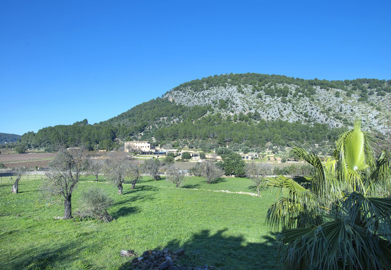 Villa en Pollensa - CHALET CAN BRULLET - ESTANCIA RUSTICA