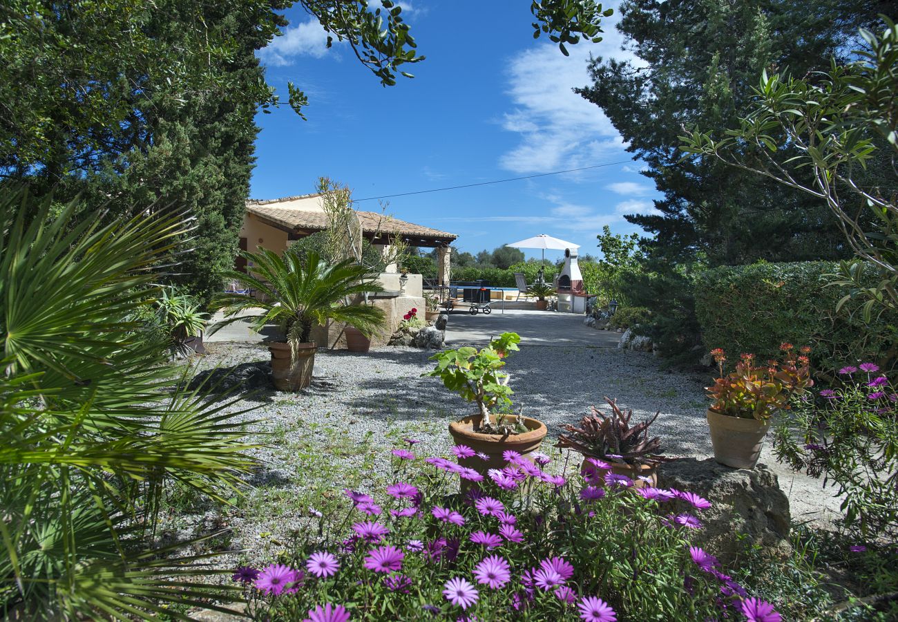 Villa à Port de Pollença - CHALET TEO - SÉJOUR RUSTIQUE