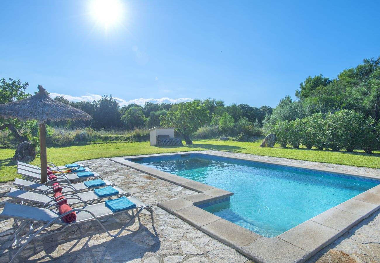 Villa à Puerto Pollensa - CHALET ALEJANDRA  - GRAND JARDIN ET PISCINE