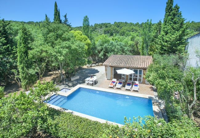 Villa à Pollensa - CHALET PLOMER - 2 MIN A PIED DE LA VIEILLE VILLE Villa à Pollensa - CHALET PLOMER - 2 MIN A PIED DE LA VIEILLE VILLE