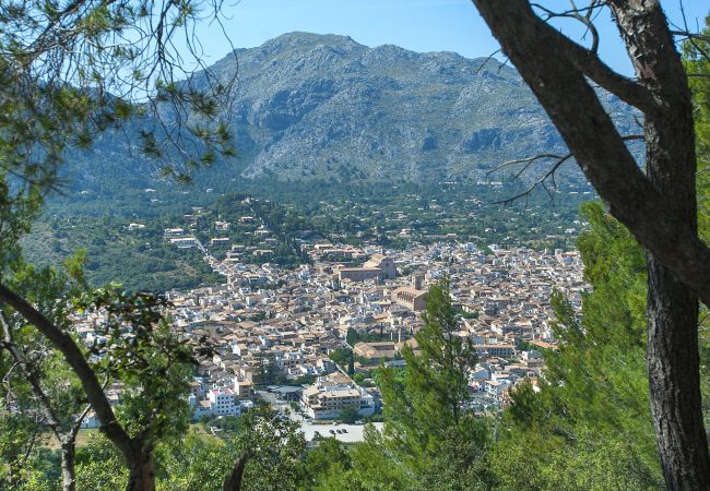 Villa à Pollensa - CHALET CAN POU - VACANCES DE LUXE DANS LES JARDINS ROYAUX