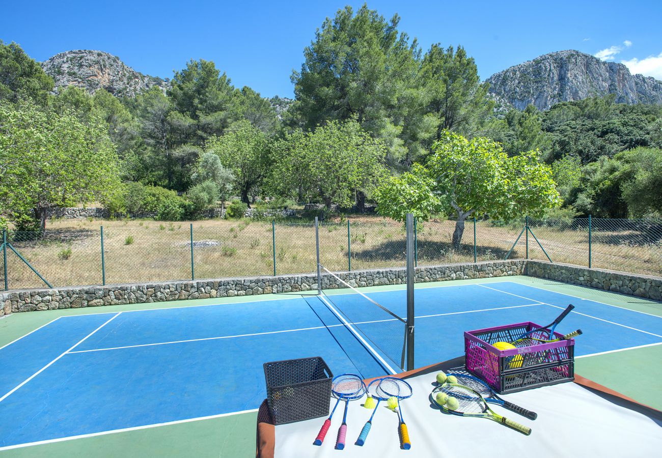 Villa à Pollensa - CHALET CAN DEMANA - BIJOU AU MILIEU DE LA NATURE