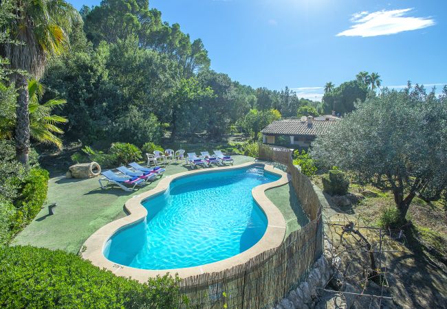 Villa à Pollensa - CHALET MORAGUES - ENTOURÉ PAR LA NATURE Villa à Pollensa - CHALET MORAGUES - ENTOURÉ PAR LA NATURE