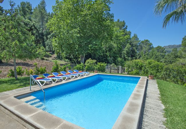 Villa à Pollensa - CHALET PICASA ALT - ENTOURÉ PAR LA NATURE Villa à Pollensa - CHALET PICASA ALT - ENTOURÉ PAR LA NATURE