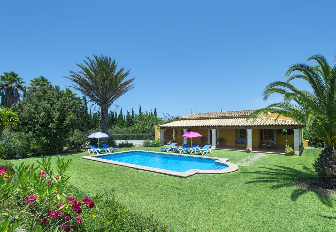 Villa in Pollensa -  VILLA  BOBIS - RUSTIC STAY