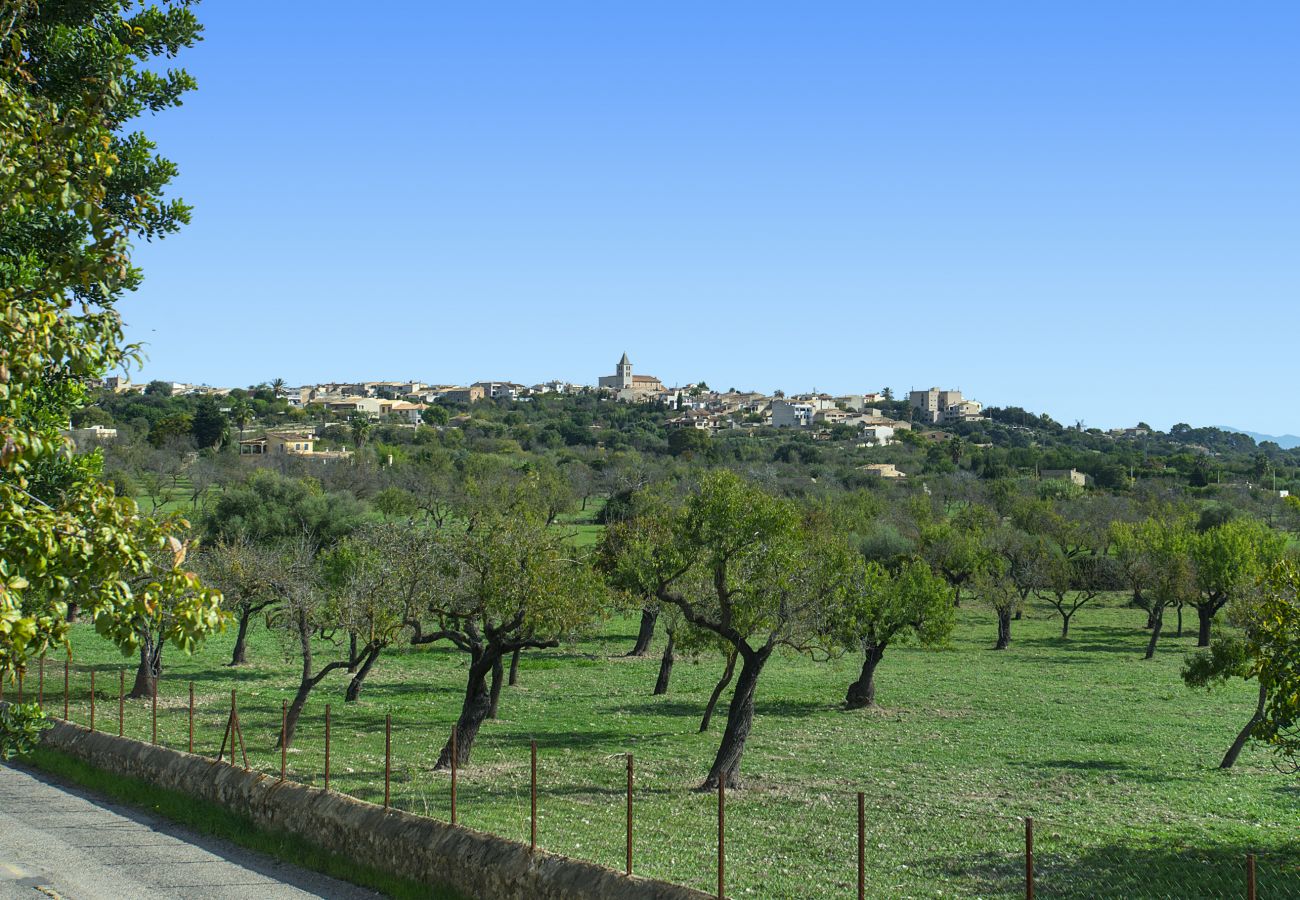 Villa in Campanet - VILLA ALQUERIA ALT - FANTASTIC VIEWS 