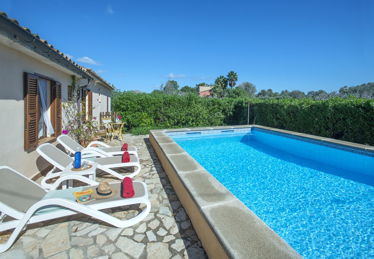 Villa in Pollensa - VILLA TEO - RUSTIC STAY