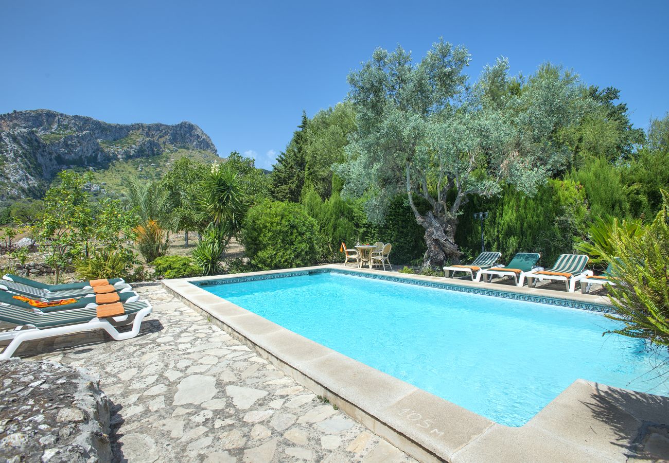 Villa in Pollensa - VILLA RAFALS - JEWEL IN THE MIDST OF NATURE