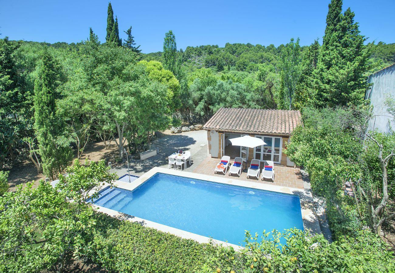 Villa in Pollensa - VILLA PLOMER - 2 MIN WALK TO THE OLD TOWN