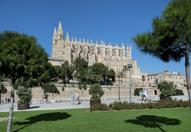 Villa in Pollensa - VILLA CAN POU - LUXURY HOLIDAYS IN ROYAL GARDENS Villa in Pollensa - VILLA CAN POU - LUXURY HOLIDAYS IN ROYAL GARDENS