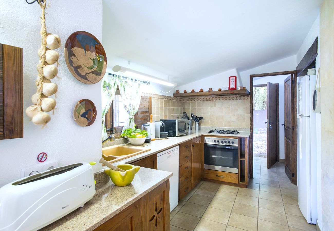 Villa in Pollensa - VILLA CAN DEMANA - JEWEL IN THE MIDST OF NATURE